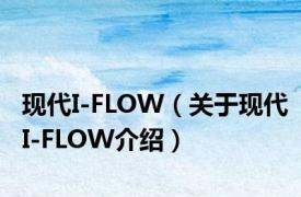 现代I-FLOW（关于现代I-FLOW介绍）