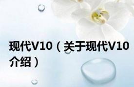 现代V10（关于现代V10介绍）