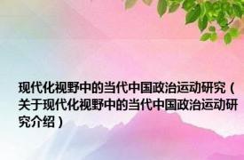 现代化视野中的当代中国政治运动研究（关于现代化视野中的当代中国政治运动研究介绍）