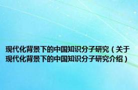 现代化背景下的中国知识分子研究（关于现代化背景下的中国知识分子研究介绍）