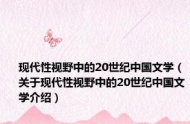 现代性视野中的20世纪中国文学（关于现代性视野中的20世纪中国文学介绍）