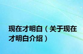 现在才明白（关于现在才明白介绍）