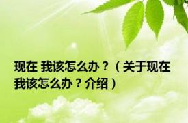 现在 我该怎么办？（关于现在 我该怎么办？介绍）