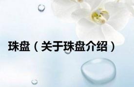 珠盘（关于珠盘介绍）