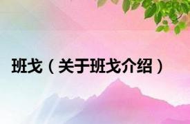 班戈（关于班戈介绍）