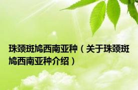 珠颈斑鸠西南亚种（关于珠颈斑鸠西南亚种介绍）