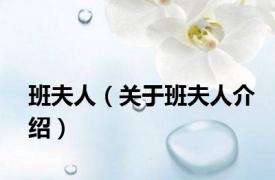 班夫人（关于班夫人介绍）