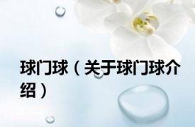 球门球（关于球门球介绍）