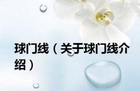 球门线（关于球门线介绍）