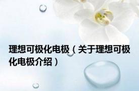 理想可极化电极（关于理想可极化电极介绍）