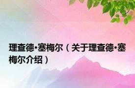 理查德·塞梅尔（关于理查德·塞梅尔介绍）