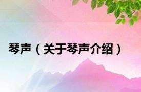 琴声（关于琴声介绍）