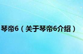 琴帝6（关于琴帝6介绍）