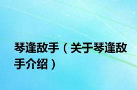 琴逢敌手（关于琴逢敌手介绍）