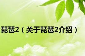 琵琶2（关于琵琶2介绍）