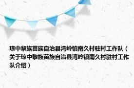 琼中黎族苗族自治县湾岭镇南久村驻村工作队（关于琼中黎族苗族自治县湾岭镇南久村驻村工作队介绍）