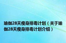 瑜伽28天瘦身排毒计划（关于瑜伽28天瘦身排毒计划介绍）