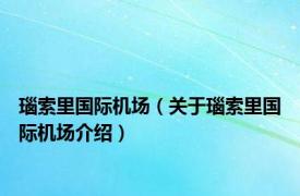 瑙索里国际机场（关于瑙索里国际机场介绍）