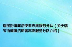 瑞宝街道廉洁使者志愿服务分队（关于瑞宝街道廉洁使者志愿服务分队介绍）