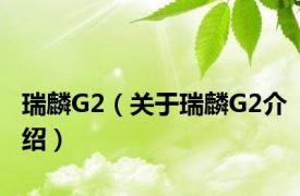 瑞麟G2（关于瑞麟G2介绍）