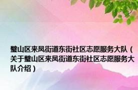 璧山区来凤街道东街社区志愿服务大队（关于璧山区来凤街道东街社区志愿服务大队介绍）