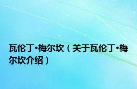 瓦伦丁·梅尔坎（关于瓦伦丁·梅尔坎介绍）