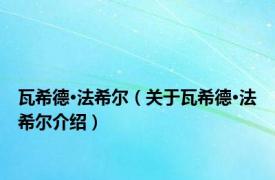 瓦希德·法希尔（关于瓦希德·法希尔介绍）