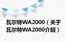 瓦尔特WA2000（关于瓦尔特WA2000介绍）