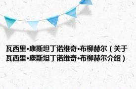 瓦西里·康斯坦丁诺维奇·布柳赫尔（关于瓦西里·康斯坦丁诺维奇·布柳赫尔介绍）