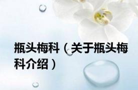 瓶头梅科（关于瓶头梅科介绍）