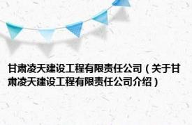 甘肃凌天建设工程有限责任公司（关于甘肃凌天建设工程有限责任公司介绍）