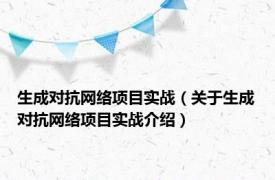 生成对抗网络项目实战（关于生成对抗网络项目实战介绍）