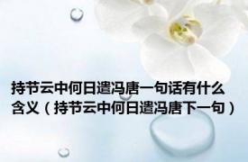 持节云中何日遣冯唐一句话有什么含义（持节云中何日遣冯唐下一句）