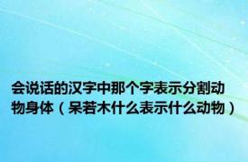 会说话的汉字中那个字表示分割动物身体（呆若木什么表示什么动物）