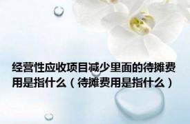 经营性应收项目减少里面的待摊费用是指什么（待摊费用是指什么）