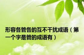 形容各管各的互不干扰成语（第一个字是管的成语有）