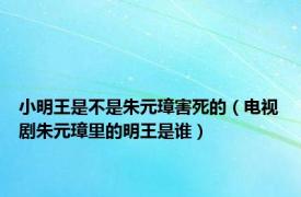 小明王是不是朱元璋害死的（电视剧朱元璋里的明王是谁）