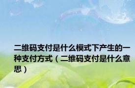 二维码支付是什么模式下产生的一种支付方式（二维码支付是什么意思）