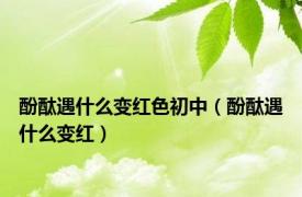 酚酞遇什么变红色初中（酚酞遇什么变红）