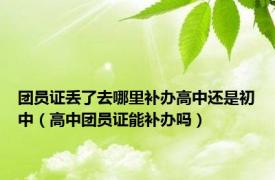 团员证丢了去哪里补办高中还是初中（高中团员证能补办吗）