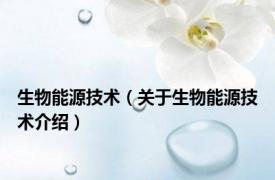 生物能源技术（关于生物能源技术介绍）