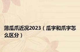 薄瓜爪近况2023（瓜字和爪字怎么区分）