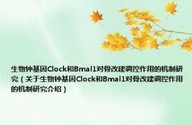 生物钟基因Clock和Bmal1对骨改建调控作用的机制研究（关于生物钟基因Clock和Bmal1对骨改建调控作用的机制研究介绍）