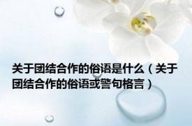 关于团结合作的俗语是什么（关于团结合作的俗语或警句格言）