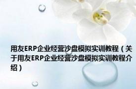 用友ERP企业经营沙盘模拟实训教程（关于用友ERP企业经营沙盘模拟实训教程介绍）