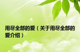 用尽全部的爱（关于用尽全部的爱介绍）