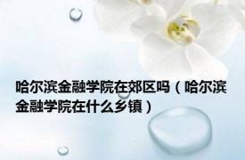 哈尔滨金融学院在郊区吗（哈尔滨金融学院在什么乡镇）