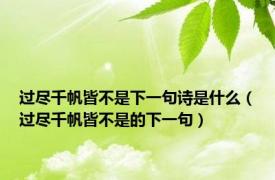 过尽千帆皆不是下一句诗是什么（过尽千帆皆不是的下一句）