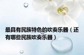 最具有民族特色的吹奏乐器（还有哪些民族吹奏乐器）