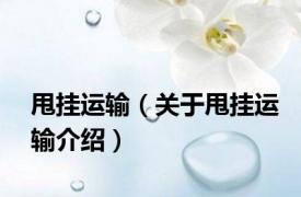 甩挂运输（关于甩挂运输介绍）